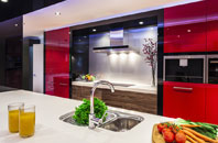 Stamford Hill kitchen extensions